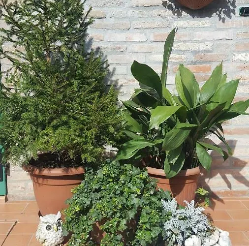 Apartament Carlo Mayr Ferrara